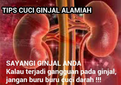 Cuci Ginjal Alami