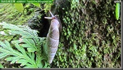 20140625_132455_088_FuYang_Park