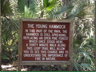 Last day at Highlands Hammock 062