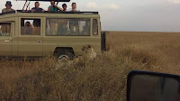  Tanzania Adventure Tours
