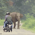 Huyendo del Elefante