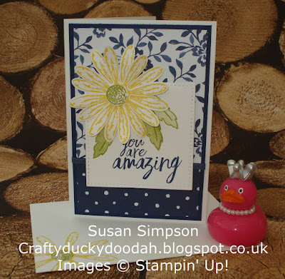 Craftyduckydoodah!, Daisy Delight, May 2017 Coffee & Cards Project, Stampin' Up! UK Independent  Demonstrator Susan Simpson, Supplies available 24/7 from my online store, 