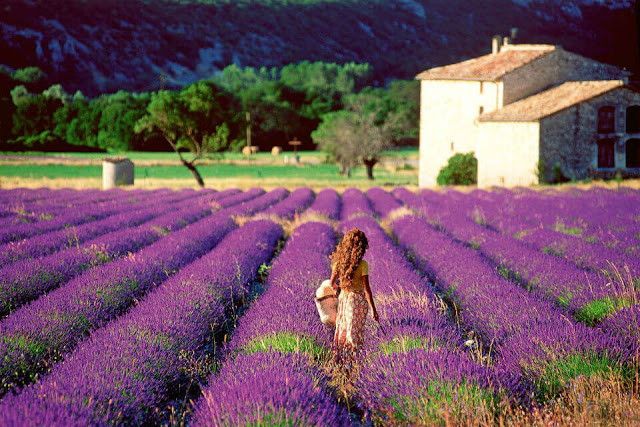 Provence, Pháp