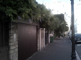 façades aux lierres grimpant  Buttes-aux-Cailles