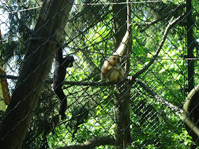 Zoos in Brandenburg Zoo Eberswalde