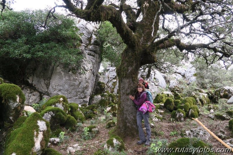 Sierra de los Pinos por las Pulgas