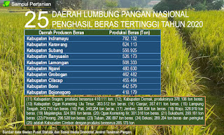 Inilah 25 Daerah lumbung pangan nasional produsen beras terbesar Indonesia ditahun 2020