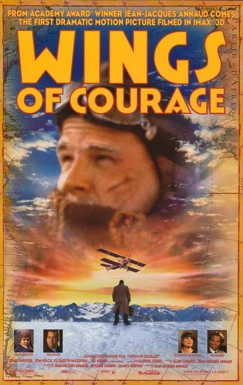 Ver Guillaumet, les ailes du courage 1996 Online Audio Latino