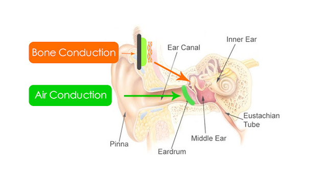 Air-conduction and Bone-conduction