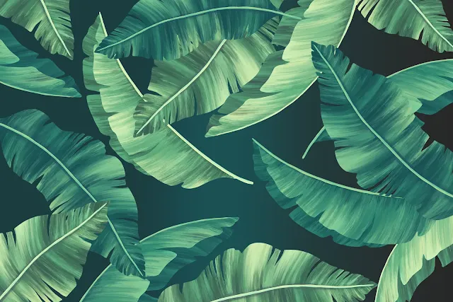 DESKTOP WALLPAPER 4K - PALM LEAVES SUMMER