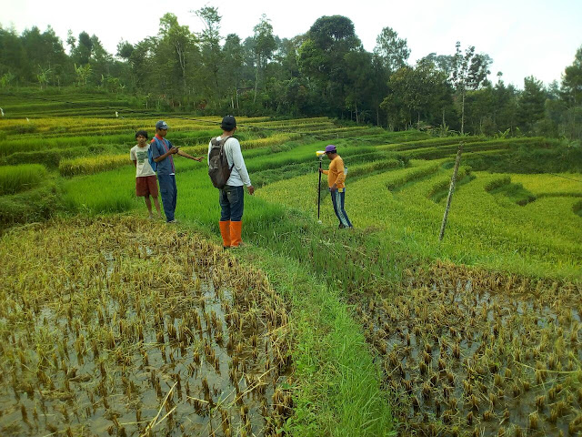 Program Pendaftaran Tanah Sistem Lengkap (PTSL) di Dusun Sendi Desa Bangunsari