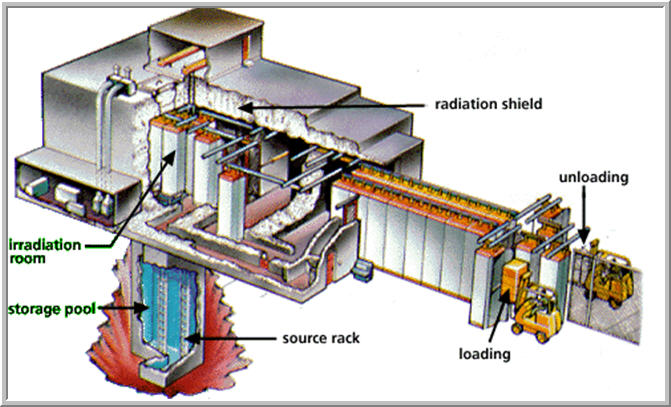 Electron beam irradiation