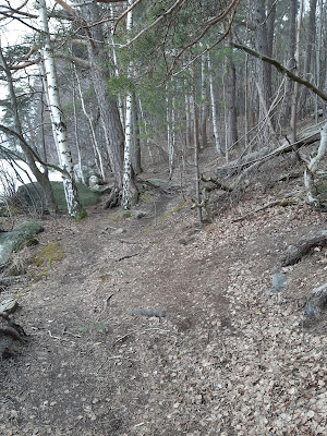 Kapea juurakkoinen polku järven rannassa