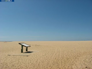 BEACH / Praia da Costa de Santo André, Santiago do Cacém, Portugal