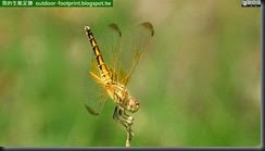 20140804_093324_045_No4park-fb