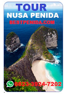 TOUR 1 HARI KE NUSA PENIDA, BEST FULL DAY TOUR, KELINGKING BEACH PACKAGE TOUR, ONE DAY TRIP TO NUSA PENIDA