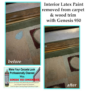 Paint Stains On Carpet
