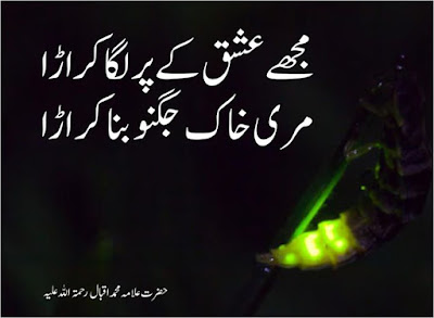 best urdu poetry images