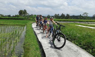 Cycling Tour Ubud