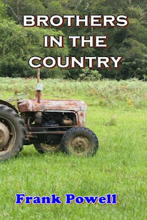 Brothers in the Country by Frank Powell at Ronaldbooks.com