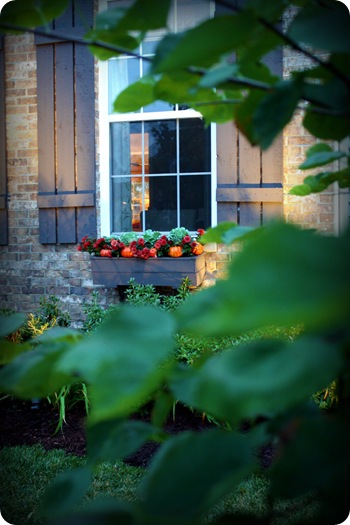 window boxes