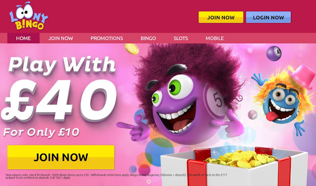 Loony Bingo - Play with £40 for only £10