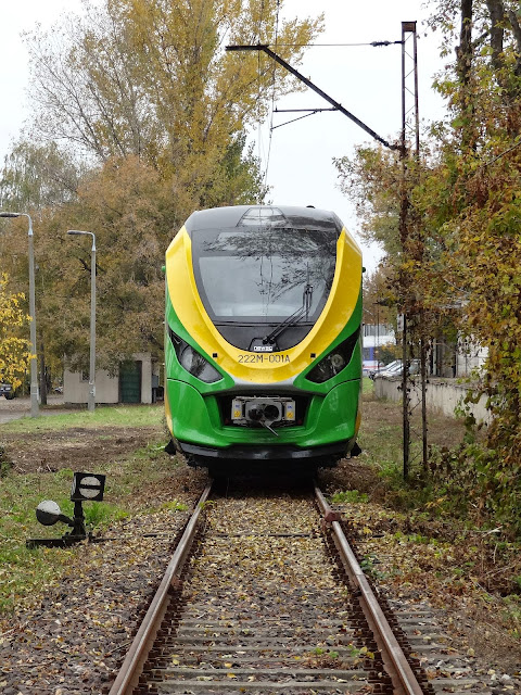 Newag 222M-001 na Olszynce Grochowskiej.