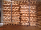 Agen Telur Ayam Kampung di Jakarta Utara