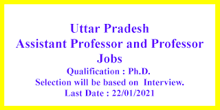 Assistant Professor and Professor Jobs in Uttar Pradesh