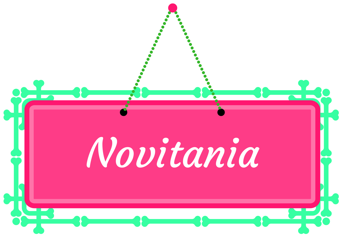 2017 Diary Novitania