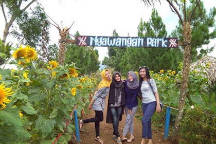 Rute Menuju Wisata Nyawangan Park Tulungagung