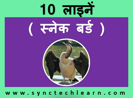 write essay on eagle in hindi