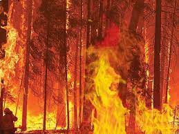  مشرقی اسپین میں درجہ حرارت میں اضافے کے ساتھ ہی جنگل کی آگ بھڑک اٹھی۔ ہوم پیجبین