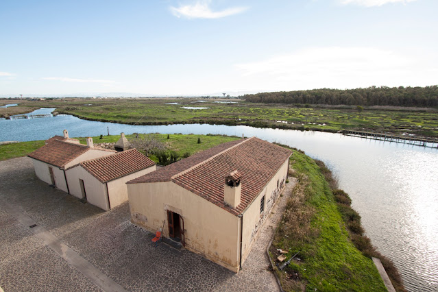 Sa pischera e mar'e Pontis-Cabras