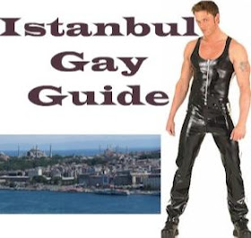 http://www.spiegel.de/politik/ausland/istanbul-verbietet-erneut-gay-pride-parade-a-1153950.html