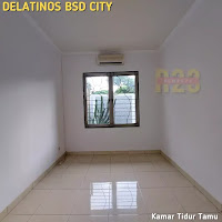 delatinos bsd
