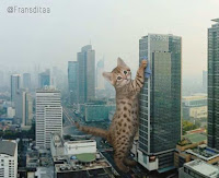 Este artista convierte gatos en gigantes con Photoshop y el resultado es genial