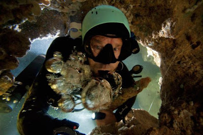 The Magnificent Blue Holes Of The Bahamas Seen On  www.coolpicturegallery.net