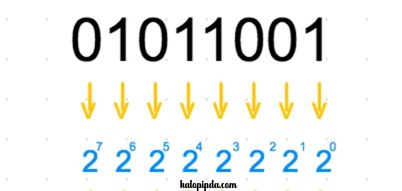 Number System: বাইনারি(Binary), অক্টাল(Octal), হেক্সাডেসিমাল, ডেসিমাল 1 Number System: বাইনারি(Binary), অক্টাল(Octal), হেক্সাডেসিমাল, ডেসিমাল