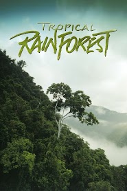 Tropical Rainforest (1992)