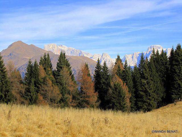 Trentino Alto Adige, Montagne dal Passo Brocon