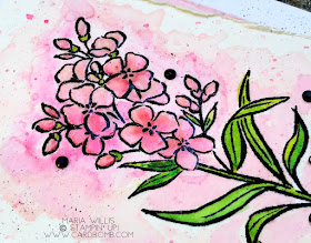 #cardbomb, Maria Willis, Stampin' Up!, Southern Serenade, watercolor, flowers, happy birthday, technique, cards, stamping, handmade, crafty, creative, ink, paper, papercraft, color, diy, rubber stamping, card making, color, gift giving