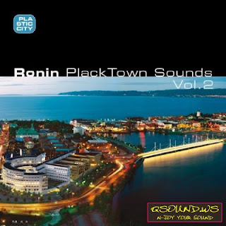 Ronin :: Placktown Sounds Vol. 2