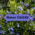 Natur EME82