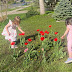 March and April in Ontario: tour guiding with Irish visitors!