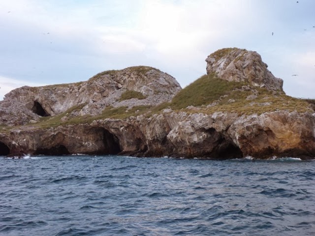 4-P1020746