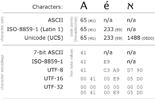 Byte array to String in Java with Example