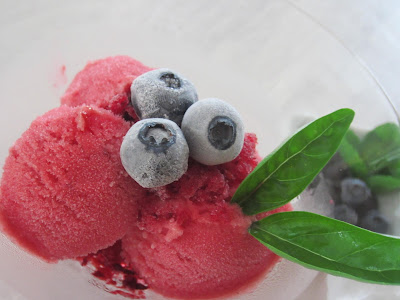 Sorbet fruits rouges et basilic