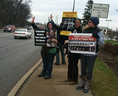 Puppy Mill Awareness Southeast Michigan: Find an Anti-Puppy Mill Group in Your State