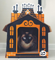 La gente está obsesionada con mini casas embrujadas para gatos en Halloween